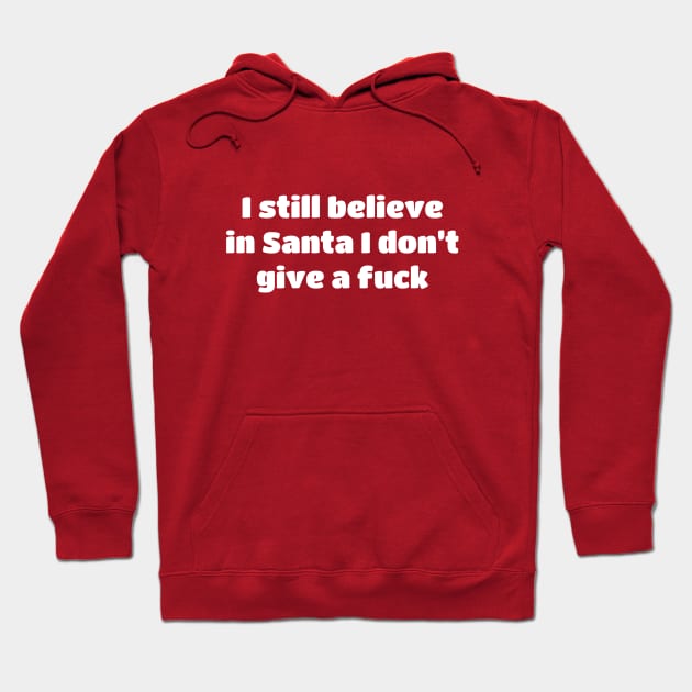 I Still Believe In Santa I Don’t Give A Fuck Funny Christmas Hoodie by The Shirt Genie